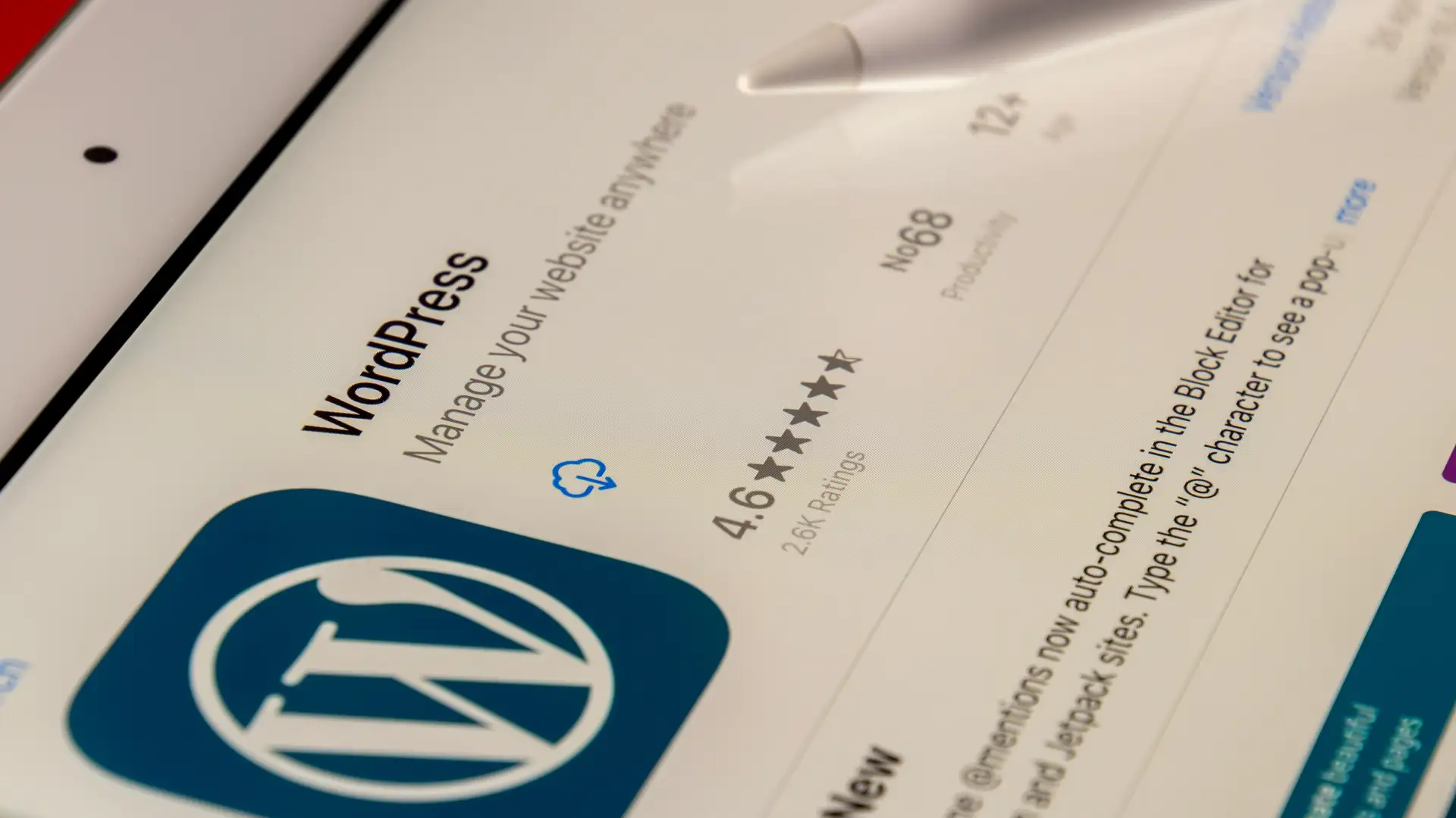 Wordpress Mosbach